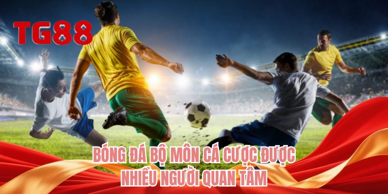 Bóng đá bộ môn cá cược được nhiều người quan tâm