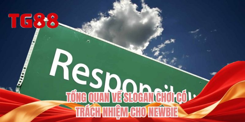 Tổng quan về slogan chơi có trách nhiệm cho newbie